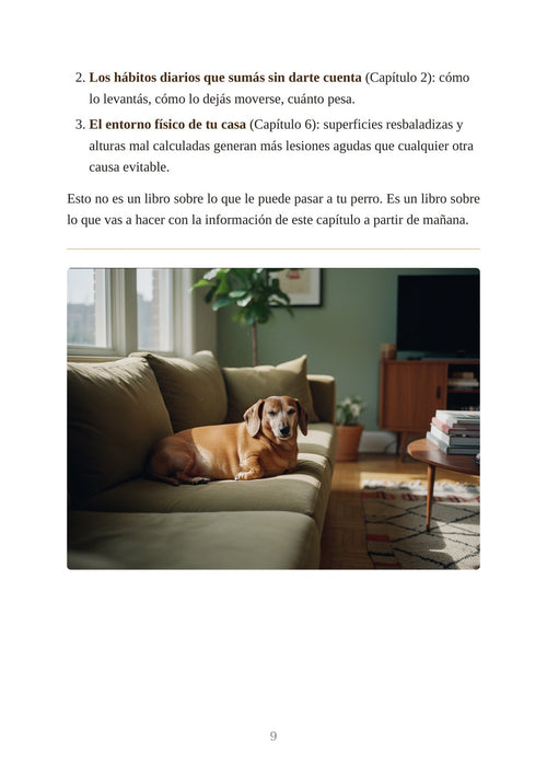 Muestra 1 — Los hábitos diarios que cuidan la espalda de tu perro salchicha