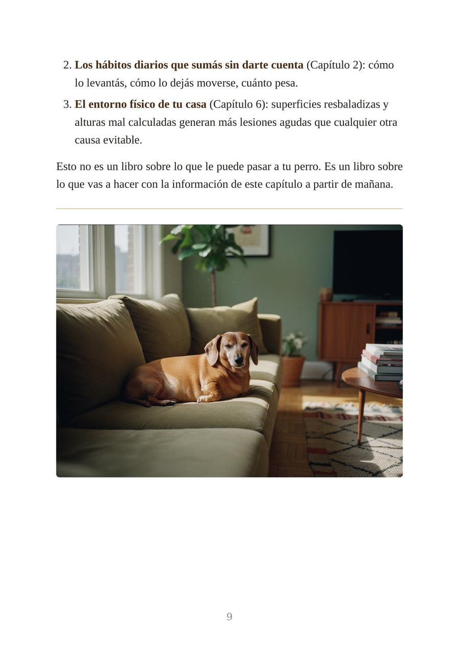 Muestra 1 — Los hábitos diarios que cuidan la espalda de tu perro salchicha
