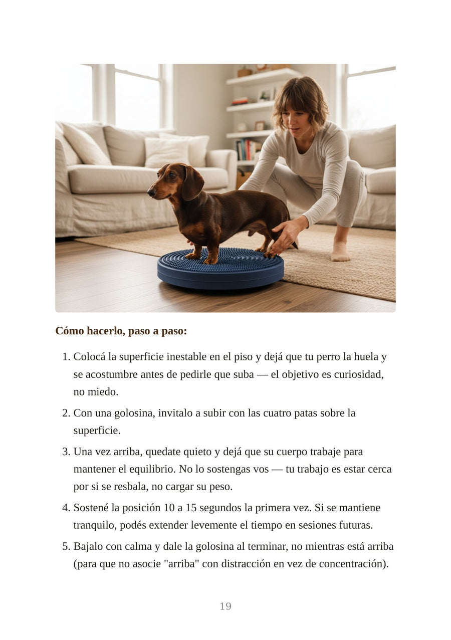 Muestra 3 — Trabajo de equilibrio sobre superficie inestable